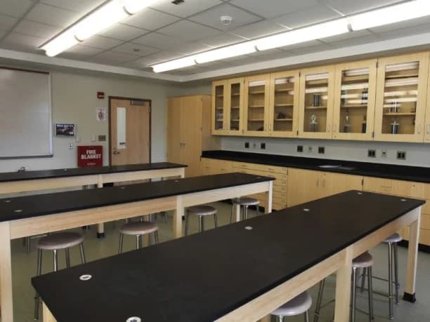 St. Dominic High School