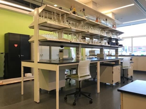 Rowan University Phase II